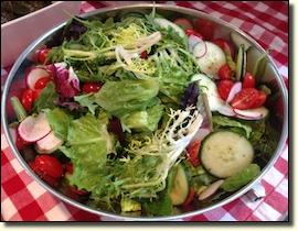 saladinbowl