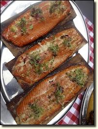 salmon